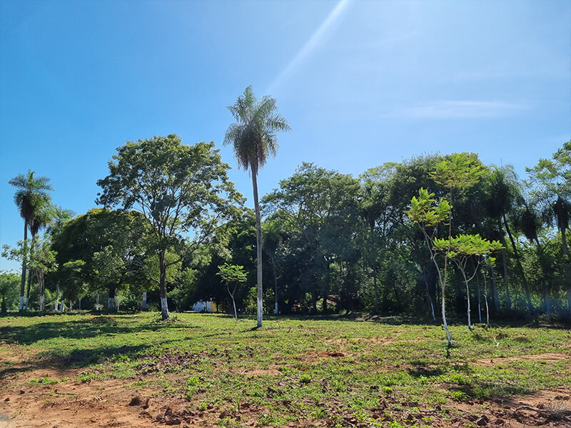 primavera_03