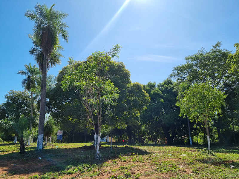 primavera_04