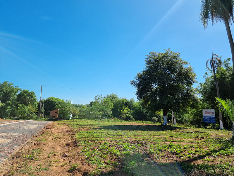 primavera_06
