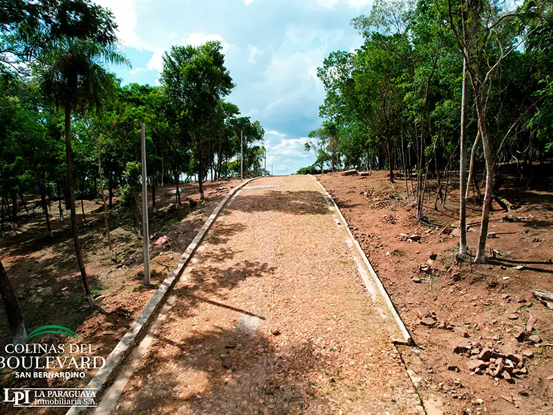 Colinas del Boulevard 06