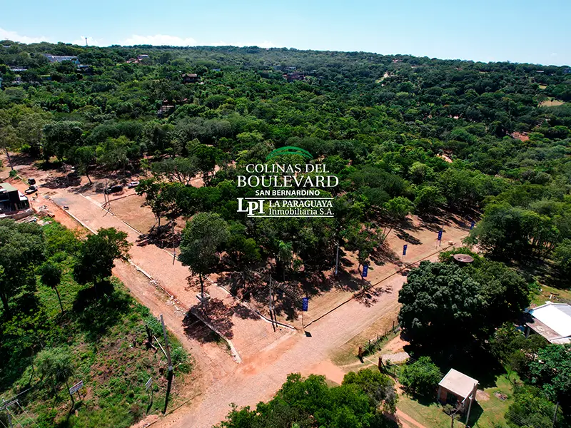 Colinas del Boulevard 08