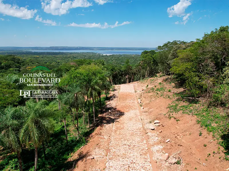 Colinas del Boulevard 09