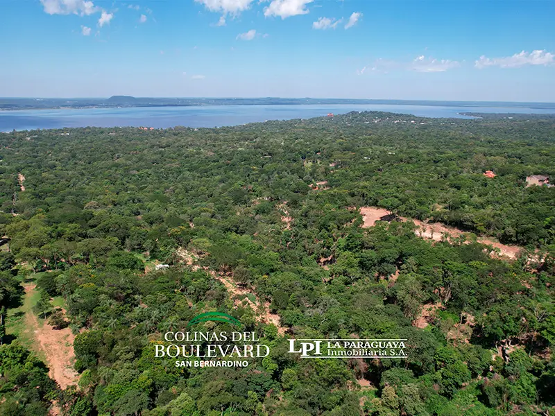 Colinas del Boulevard 10