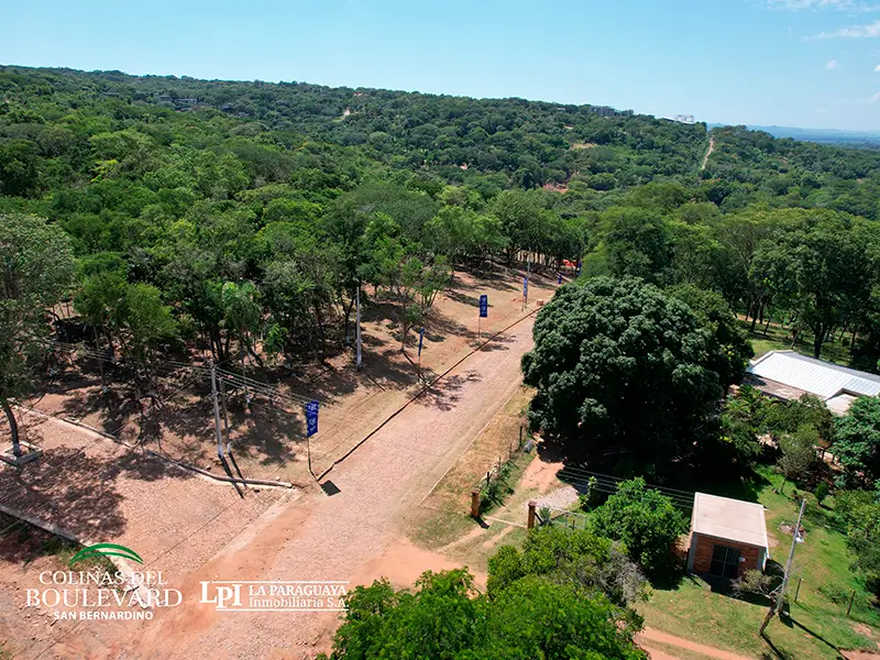 Colinas del Boulevard 12